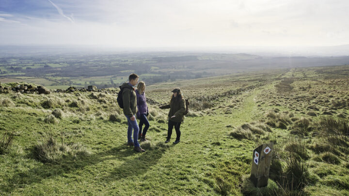 The Emigrants Walk View