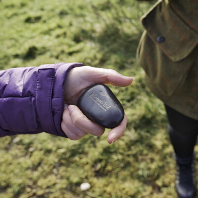 The Emigrants Walk Stone