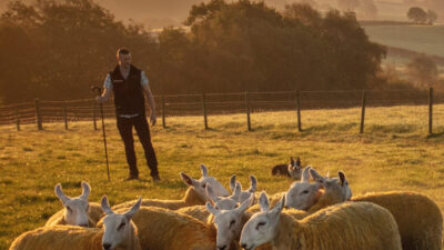 Glenshane Country Farm