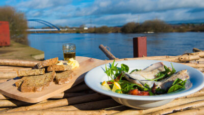 Lough Neagh Pollan