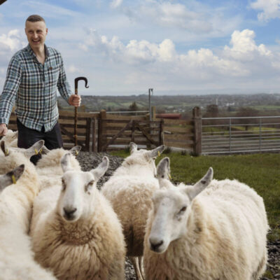 Sheepdogs at Work, Glenshane Country Farm